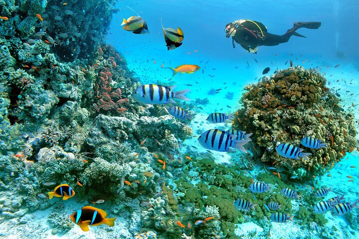 Trip Image