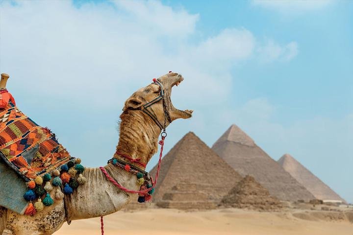 Trip Image