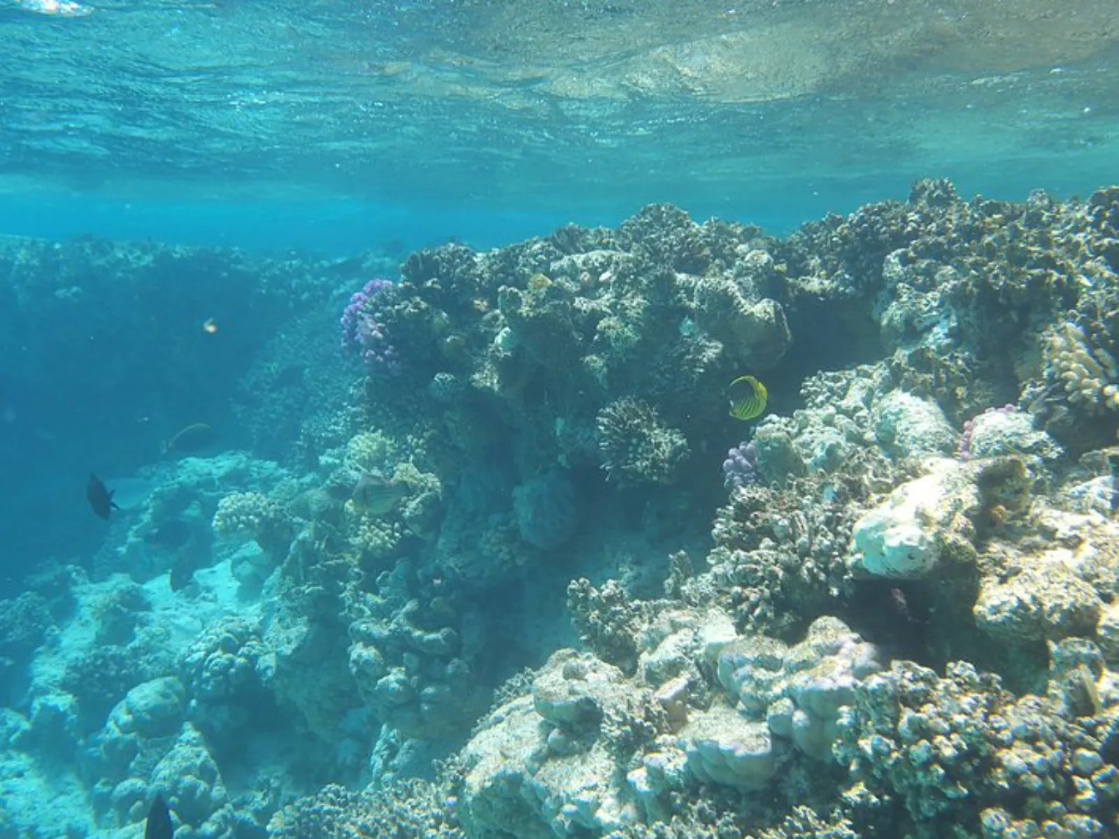 Trip Image