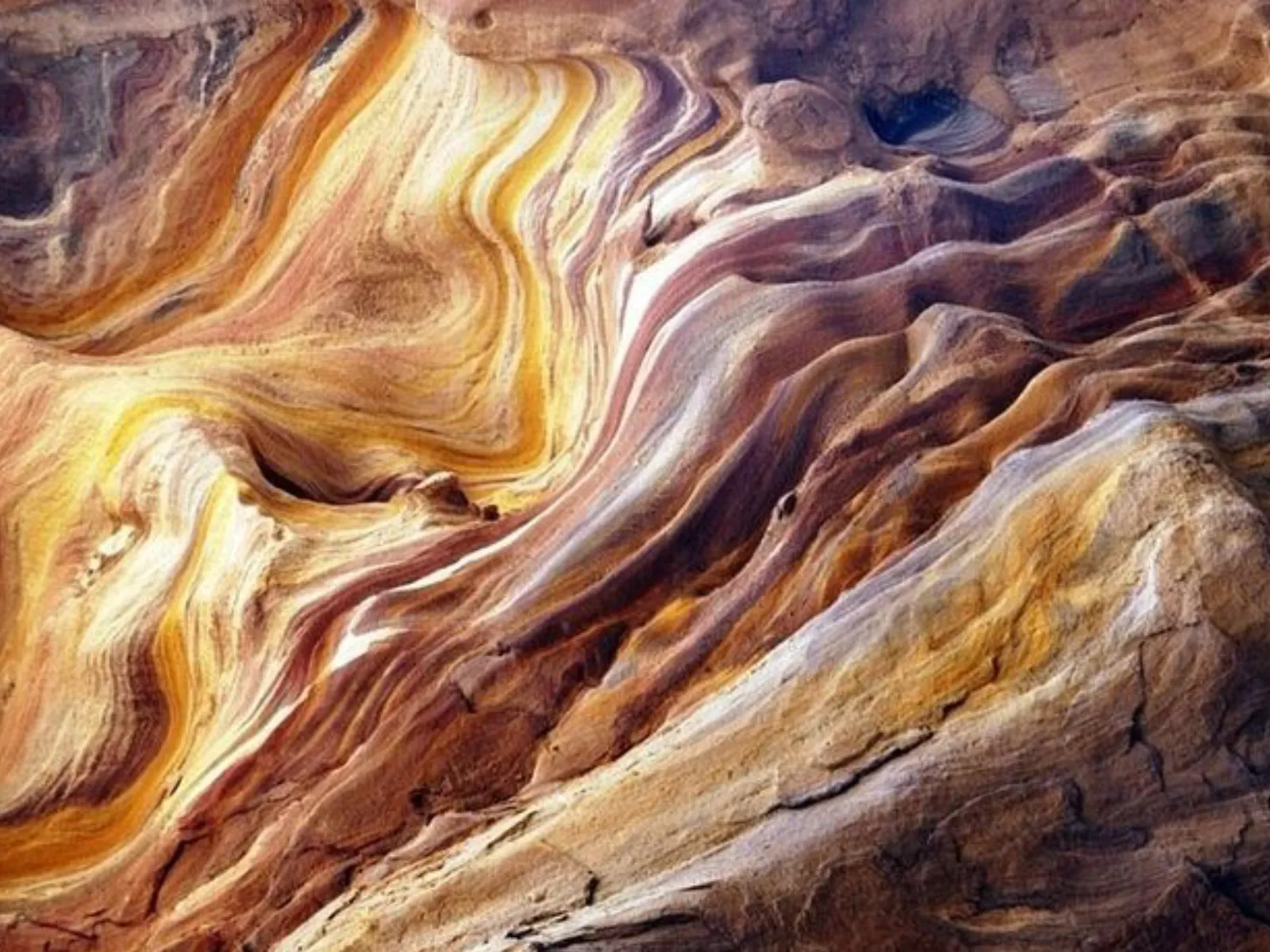 Trip Image