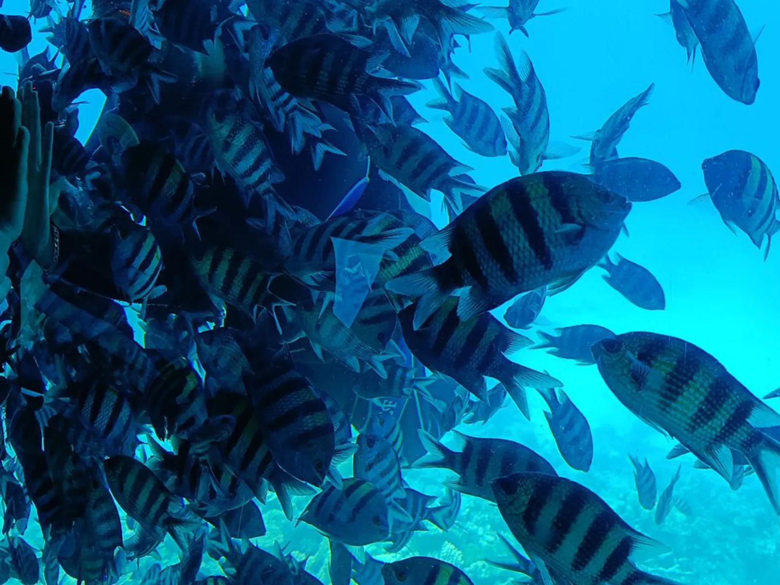 Trip Image