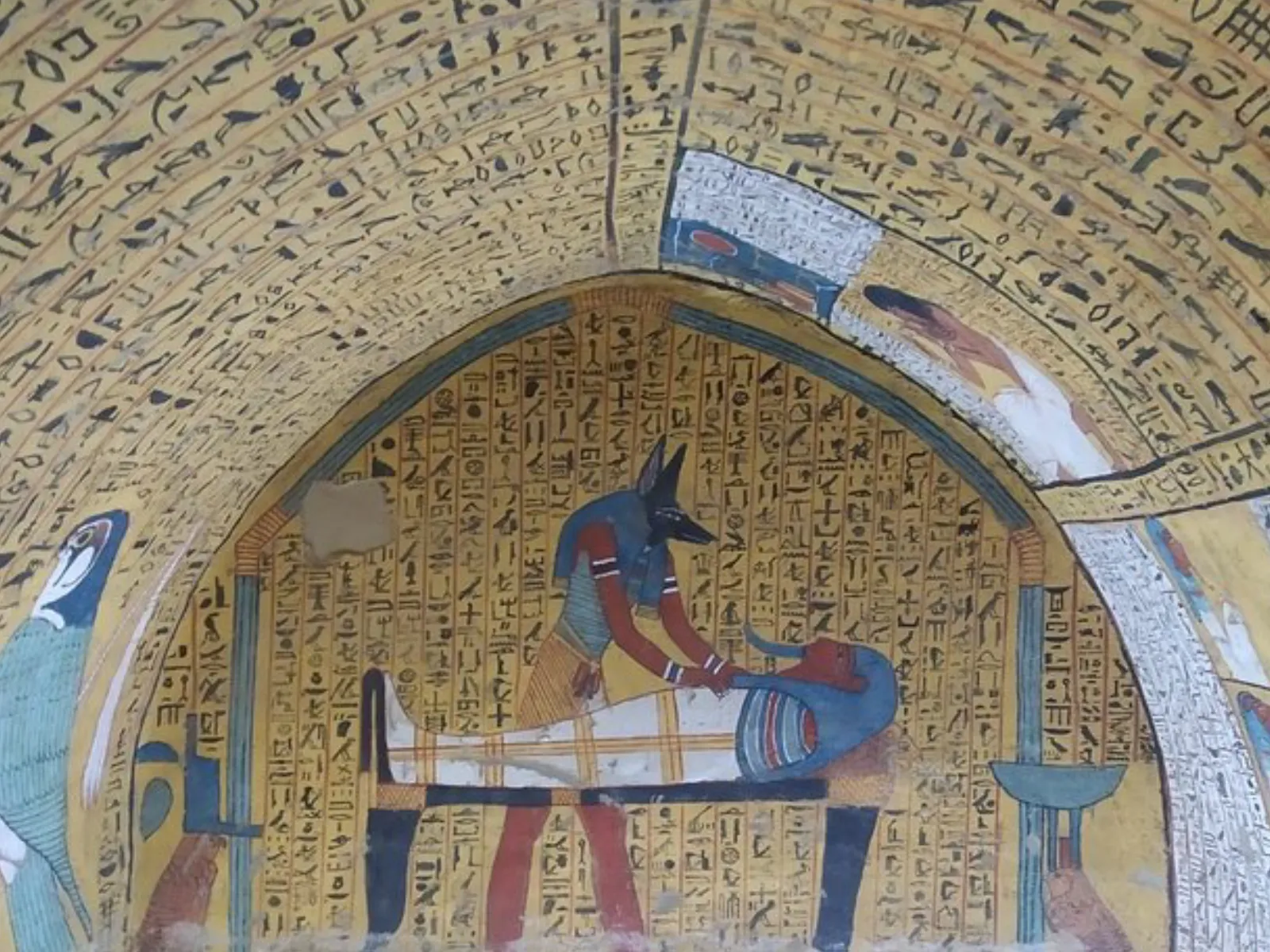Trip Image