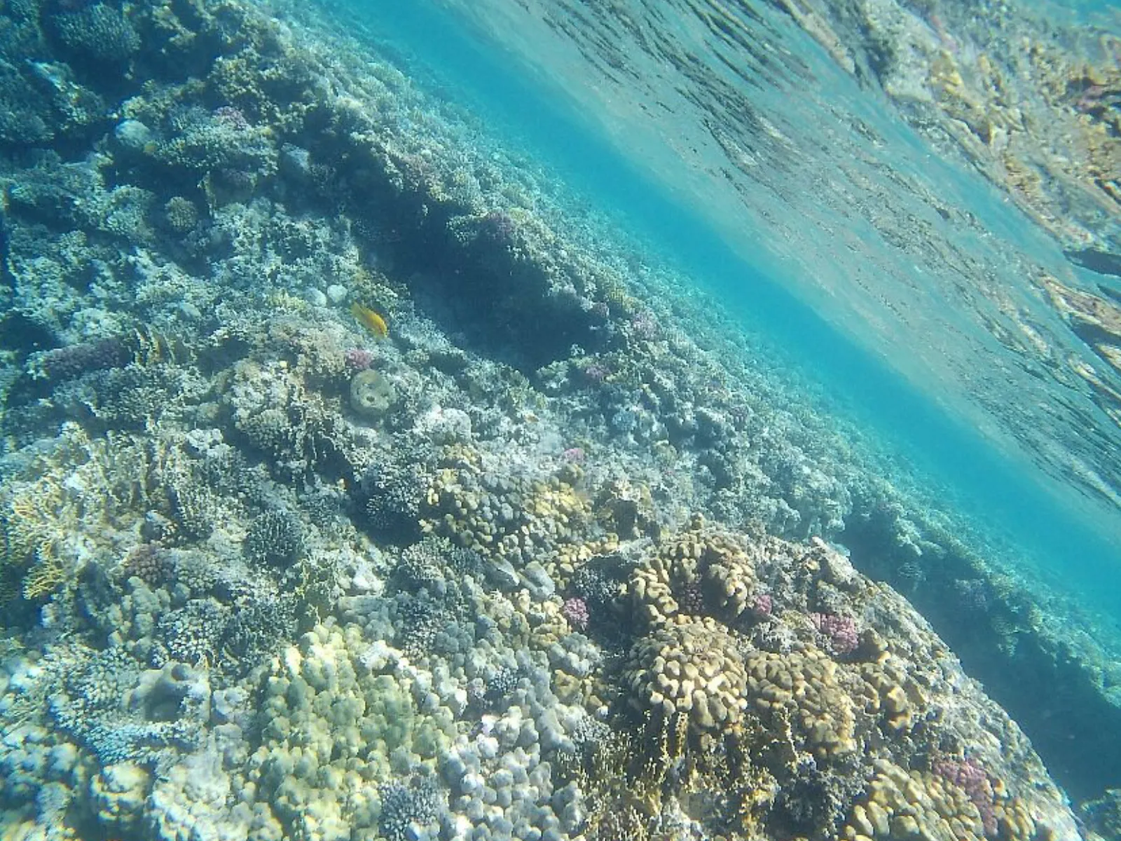 Trip Image