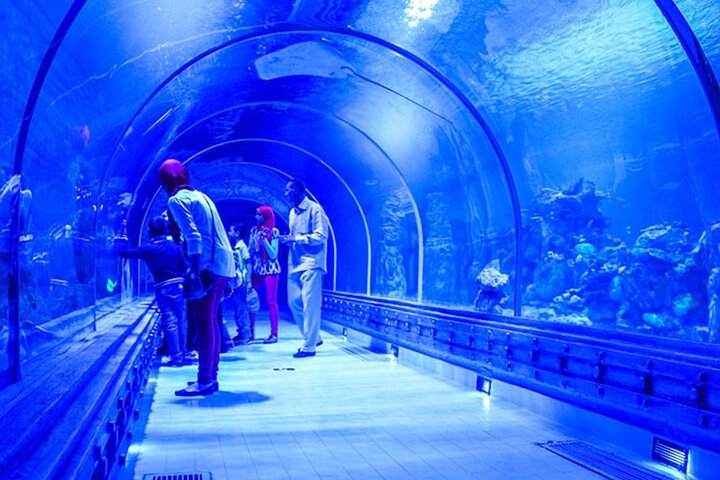 Trip Image
