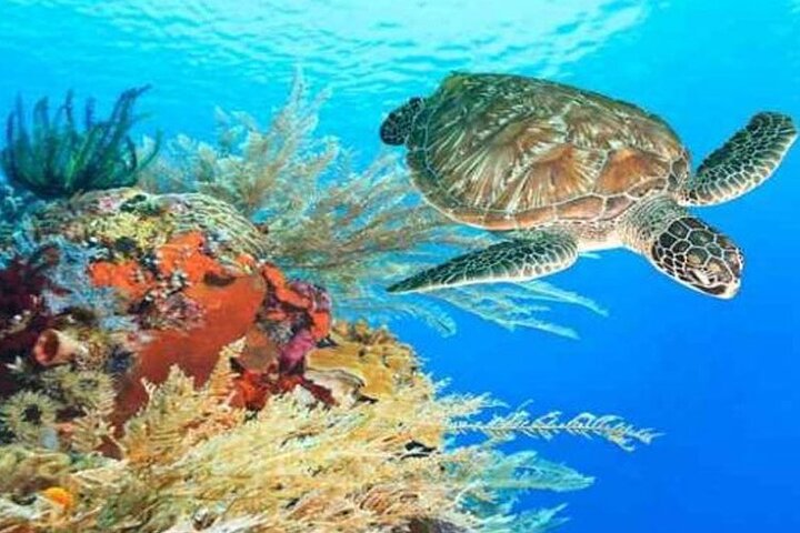 Trip Image