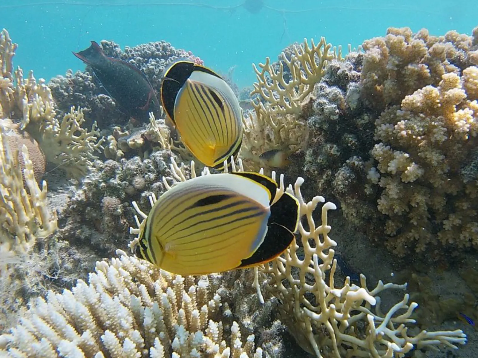 Trip Image