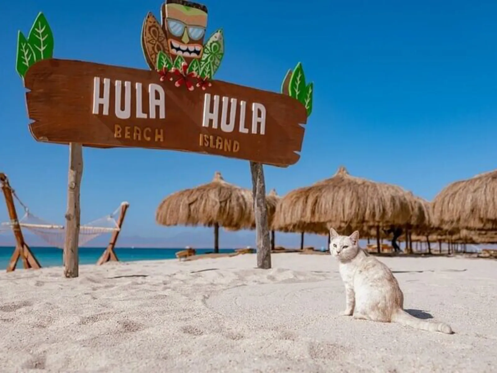 Trip Image