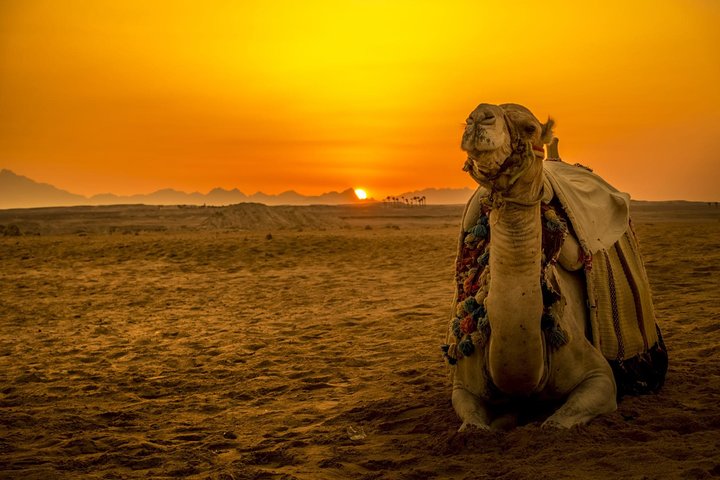 Trip Image