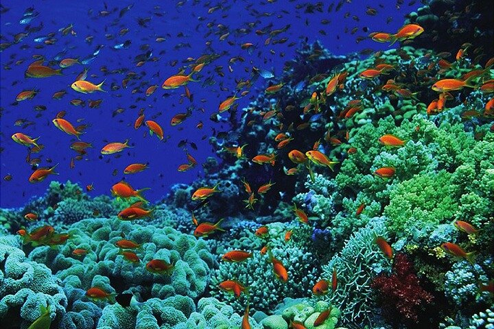 Trip Image